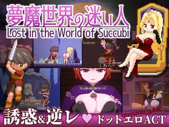 图片[1]-[动作ACT/像素动态] 迷失在梦境中 夢魔世界の迷い人 v1.0.1 PC+安卓 官方中文版 [1.3G]游戏中文版下载|无需安装解压即玩-兔游宝库