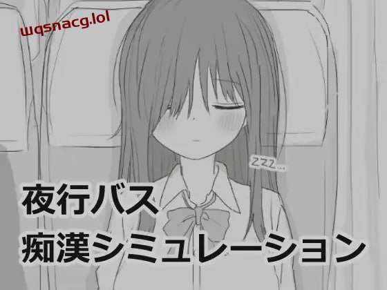 图片[1]-[互动SLG/黑白] 夜行バス痴漢シミュレーション 机翻汉化版 [1G]游戏中文版下载|无需安装解压即玩-兔游宝库
