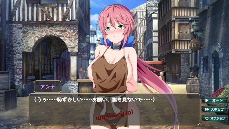 图片[1]-[互动SLG] 骑士安娜 -奴隶调教记录 騎士アンナ -奴隷調教記録 v1.0 AI汉化 [1G]游戏中文版下载|无需安装解压即玩-兔游宝库
