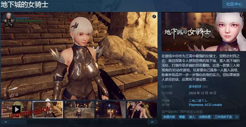 图片[1]-[ACT/汉化] 地下城的女骑士（地下城の女騎士）STEAM官中步兵3.4G游戏中文版下载|无需安装解压即玩-兔游宝库