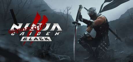 图片[1]-忍者龙剑传2：黑之章NINJA GAIDEN 2 Black v1.0.0官方中文免安装版游戏中文版下载|无需安装解压即玩-兔游宝库