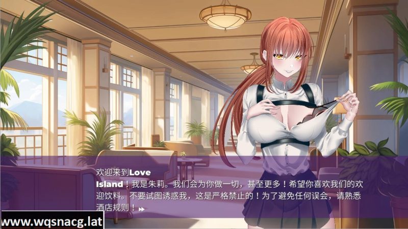 [SLG/中文] 爱情岛 Love Island STEAM官中无修版 [多空/500M]游戏中文版下载|无需安装解压即玩-兔游宝库